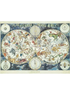 Ravensburger - Puzzle 1500 p - Carte du monde des animaux 2