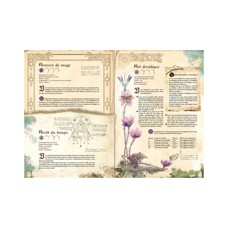 DRAGONS - Grimoire (Livre de base - Magie)