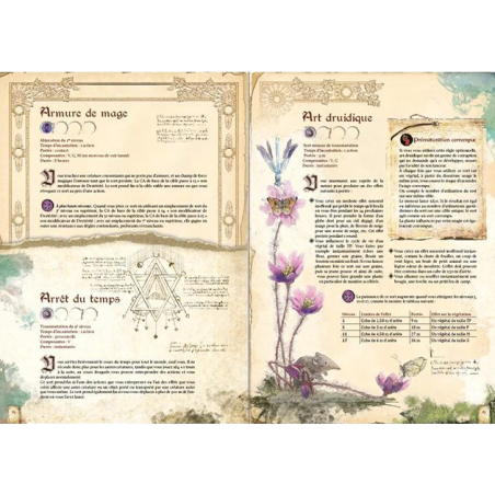 DRAGONS - Grimoire (Livre de base - Magie)