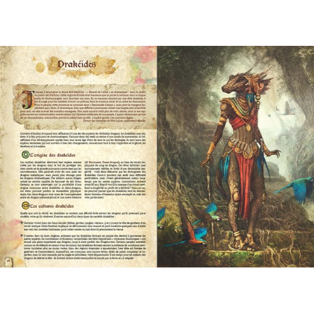 DRAGONS – Aventuriers (Livre de Base)